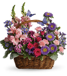 Country Basket Blooms from Clermont Florist & Wine Shop, flower shop in Clermont